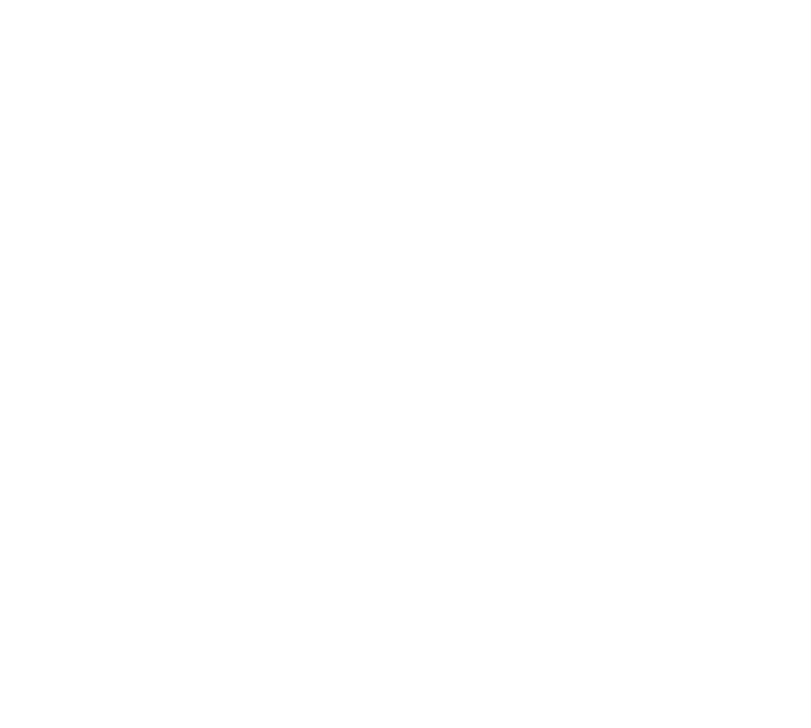 sino logo